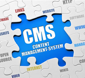 Look after your own site or parts of your site using Content Management Systems (CMS).