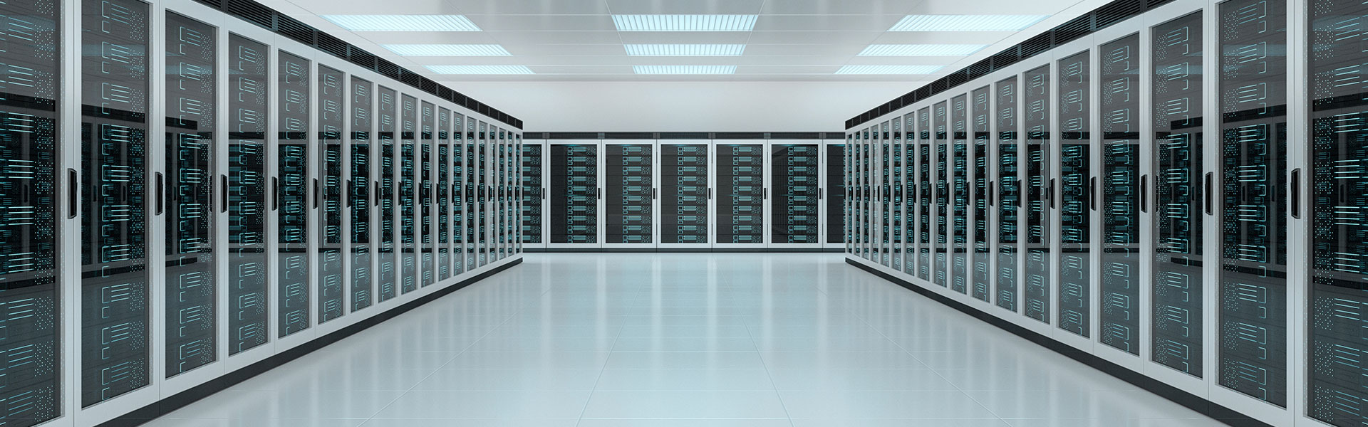 We offer domain name registration and yearly hosting services to all our web design customers.